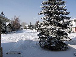 Millrise Calgary Feb 8 2008